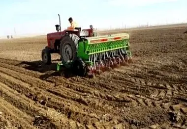 مدیر جهاد کشاورزی شهرستان خبر داد:
استقبال کشاورزان سیروان از کاشت گیاهان علوفه‌ای