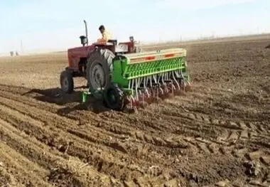 مدیر جهاد کشاورزی شهرستان خبر داد:
استقبال کشاورزان سیروان از کاشت گیاهان علوفه‌ای