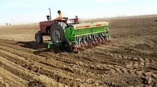 مدیر جهاد کشاورزی شهرستان خبر داد:
استقبال کشاورزان سیروان از کاشت گیاهان علوفه‌ای
