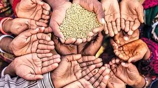 لرزش خاورمیانه، تلاطم در سفره جهان 