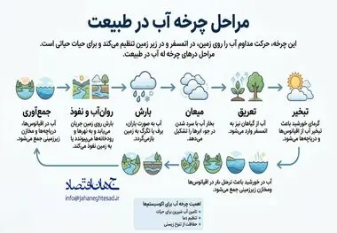 اینفوگرافی
