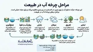 اینفوگرافی