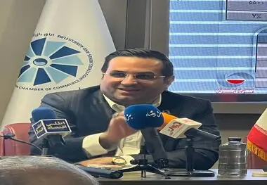 مدیرعامل فولاد آلیاژی ایران: فولاد ایران تشنه تعامل جهانی و زیرساخت‌های بین‌المللی  است
