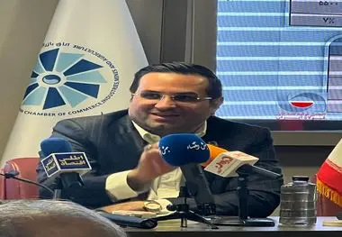 مدیرعامل فولاد آلیاژی ایران: فولاد ایران تشنه تعامل جهانی و زیرساخت‌های بین‌المللی  است