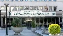 تمدید مهلت ارائه اظهارنامه‌های مالیاتی در انتظار مجوز مراجع ذی صلاح