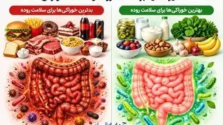 اینفوگرافی