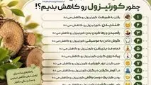 اینفوگرافی