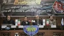 در نشست خبری شرکت کشت و دامداری فکا عنوان شد:
استفاده کاربردی از فناوری تولید جنین های آزمایشگاهی  وتوسعه نژاد گاو جرسی