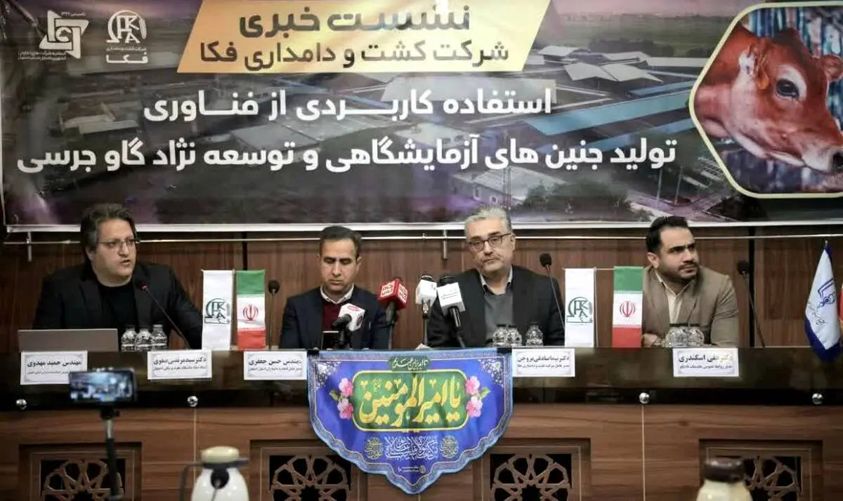 در نشست خبری شرکت کشت و دامداری فکا عنوان شد:
استفاده کاربردی از فناوری تولید جنین های آزمایشگاهی  وتوسعه نژاد گاو جرسی