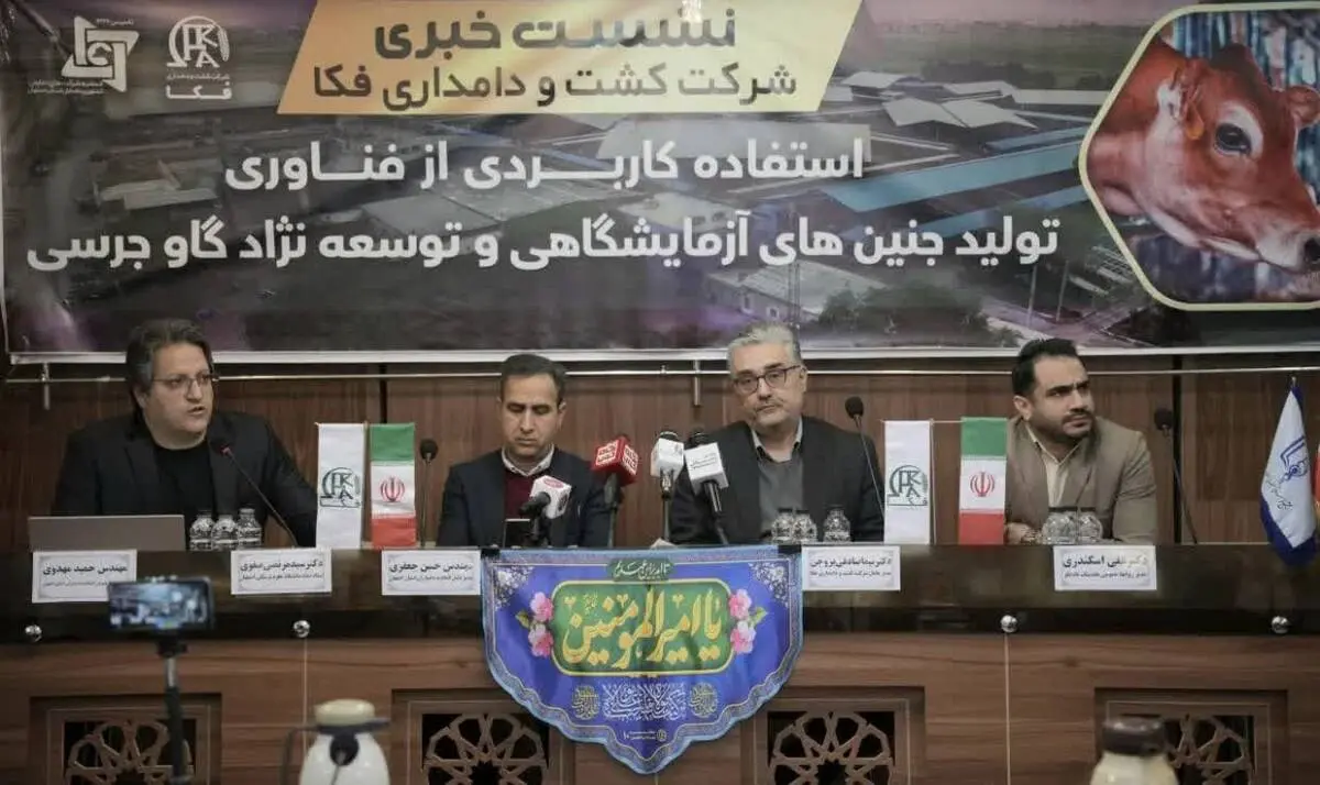 در نشست خبری شرکت کشت و دامداری فکا عنوان شد:
استفاده کاربردی از فناوری تولید جنین های آزمایشگاهی  وتوسعه نژاد گاو جرسی