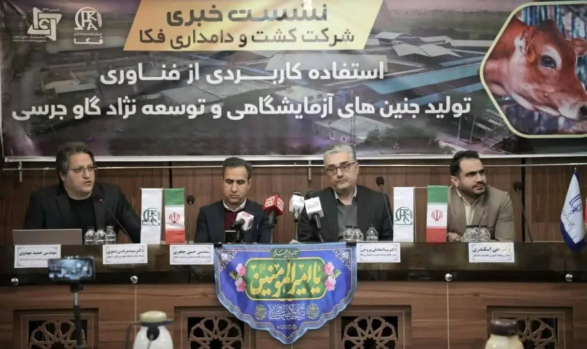 در نشست خبری شرکت کشت و دامداری فکا عنوان شد:
استفاده کاربردی از فناوری تولید جنین های آزمایشگاهی  وتوسعه نژاد گاو جرسی