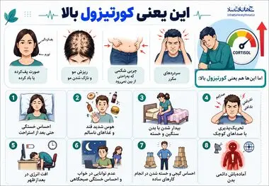 اینفوگرافی
