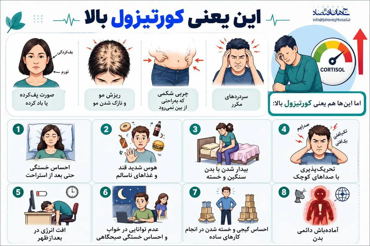 اینفوگرافی