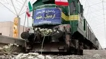 پروژه ۵۰ همتی بعد از دو دهه به سرانجام رسید/ استقبال از ریل تازه‌وارد