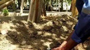 بازگشت ۴۵ هزار مترمکعب آب به شبکه زاهدان