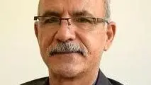 سرمایه عظیم اقتصادی دیاسپورای ایران