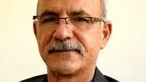 سرمایه عظیم اقتصادی دیاسپورای ایران