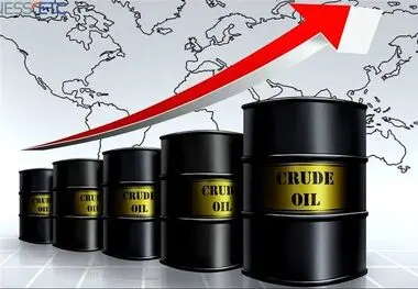 قیمت نفت صعودی شد