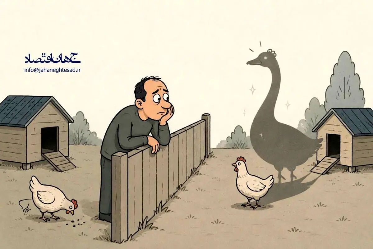 کاریکاتورـ مرغ همسایه غازه