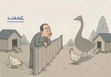کاریکاتورـ مرغ همسایه غازه