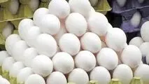 چالش‌های تولید بی‌ضابطه تخم‌مرغ در ایران