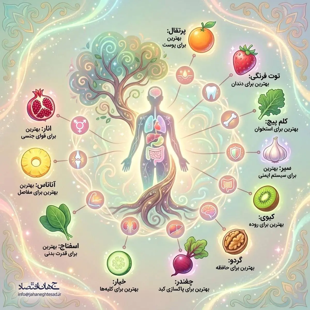 میوه های مهم برای سلامت بدن