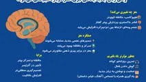وقتی زبان جدید یاد میگیری مغز دوباره سیم کشی می‌شود