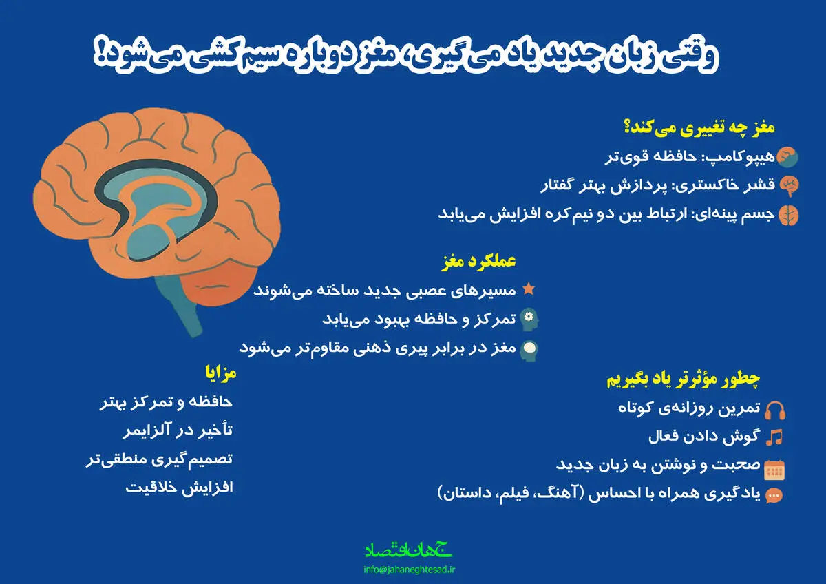 وقتی زبان جدید یاد میگیری مغز دوباره سیم کشی می‌شود