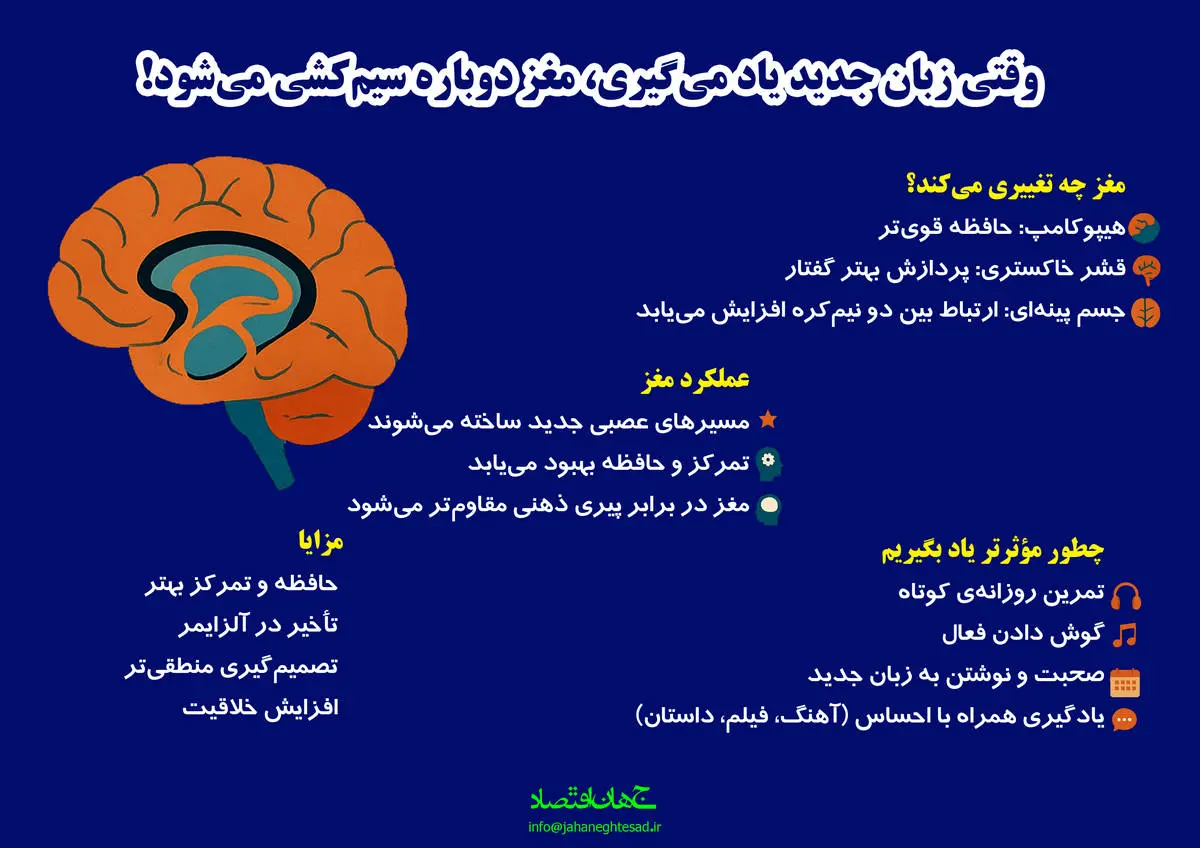وقتی زبان جدید یاد میگیری مغز دوباره سیم کشی می‌شود