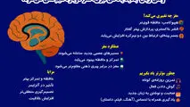 وقتی زبان جدید یاد میگیری مغز دوباره سیم کشی می‌شود