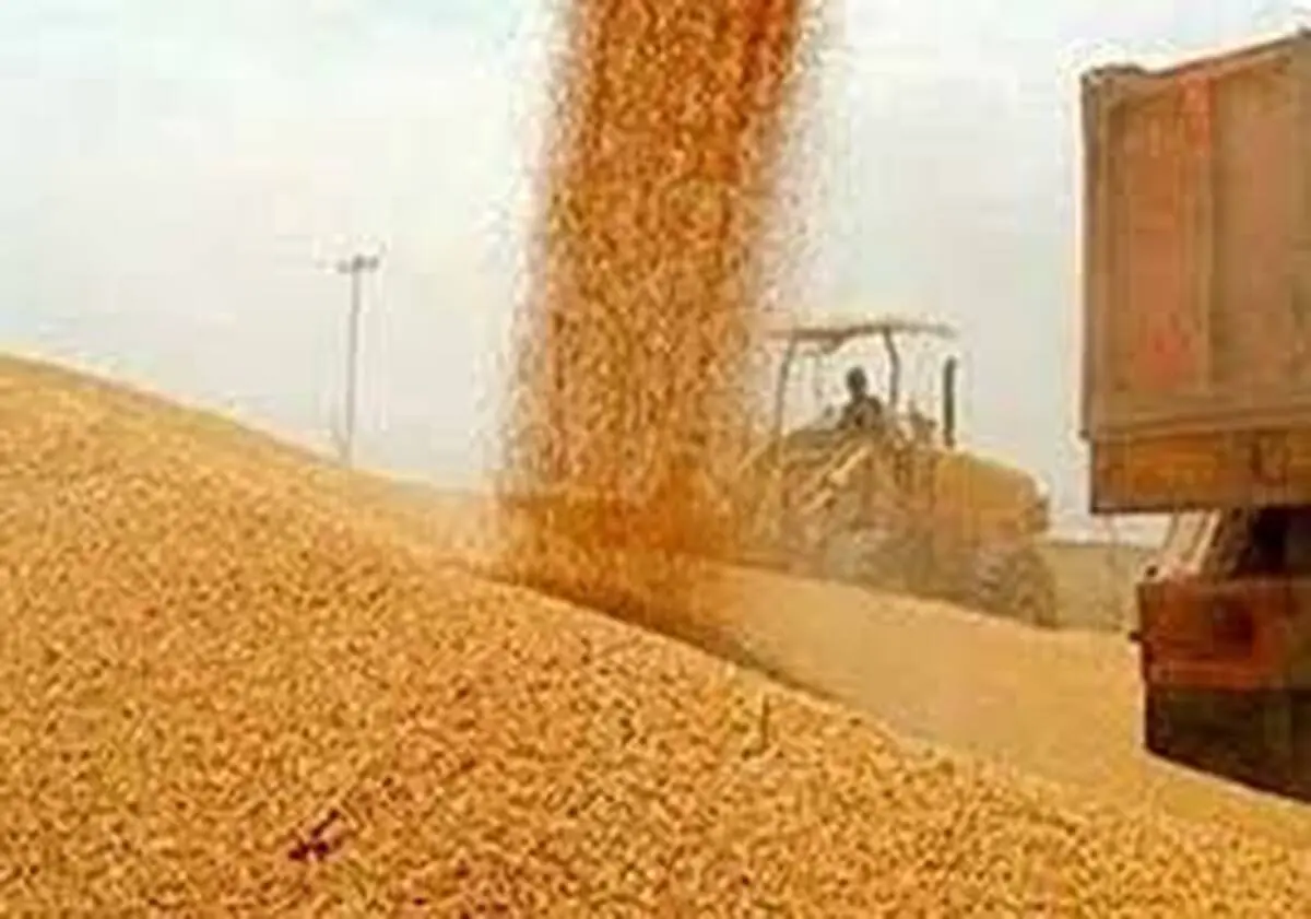 کسب امتیاز 1000 توسط اداره کل در ارزیابی عملکرد شاخص‌های اختصاصی