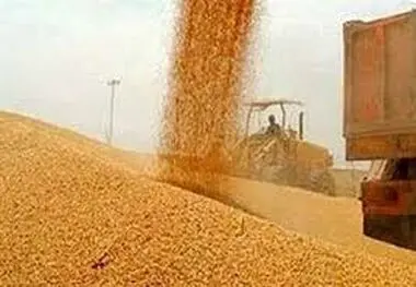 کسب امتیاز 1000 توسط اداره کل در ارزیابی عملکرد شاخص‌های اختصاصی
