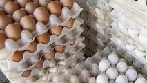 جدیدترین قیمت مرغ و تخم‌مرغ (۸ بهمن ۱۴۰۱)