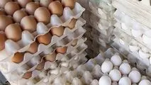 جدیدترین قیمت مرغ و تخم‌مرغ (۸ بهمن ۱۴۰۱)