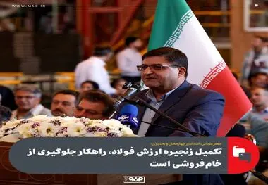 تکمیل زنجیره ارزش فولاد، راهکار جلوگیری از خام‌فروشی است