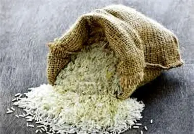 ضوابط تعیین برنج‌ اصل وارداتی ابلاغ شد