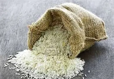 ضوابط تعیین برنج‌ اصل وارداتی ابلاغ شد