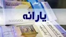 اصلاح یارانه‌ها در نقطه حساس اقتصاد!

