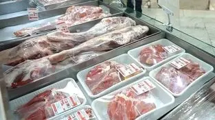 بوفالو؛ مهمان ناخوانده سفره مردم