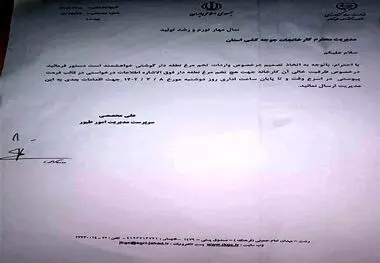 وزارت جهادکشاورزی واردات تخم مرغ نطفه‌دار مرغ‌گوشتی را کلید زد
