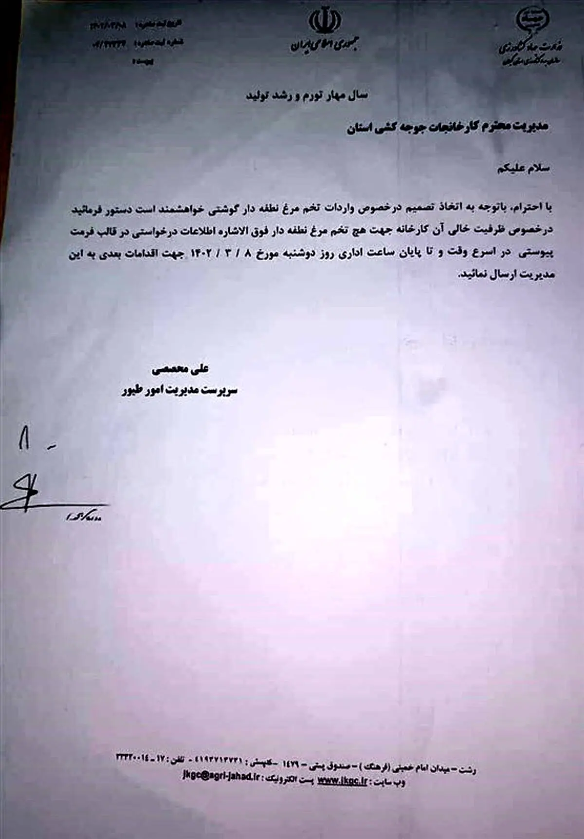 وزارت جهادکشاورزی واردات تخم مرغ نطفه‌دار مرغ‌گوشتی را کلید زد