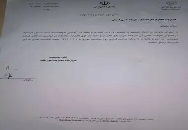 وزارت جهادکشاورزی واردات تخم مرغ نطفه‌دار مرغ‌گوشتی را کلید زد