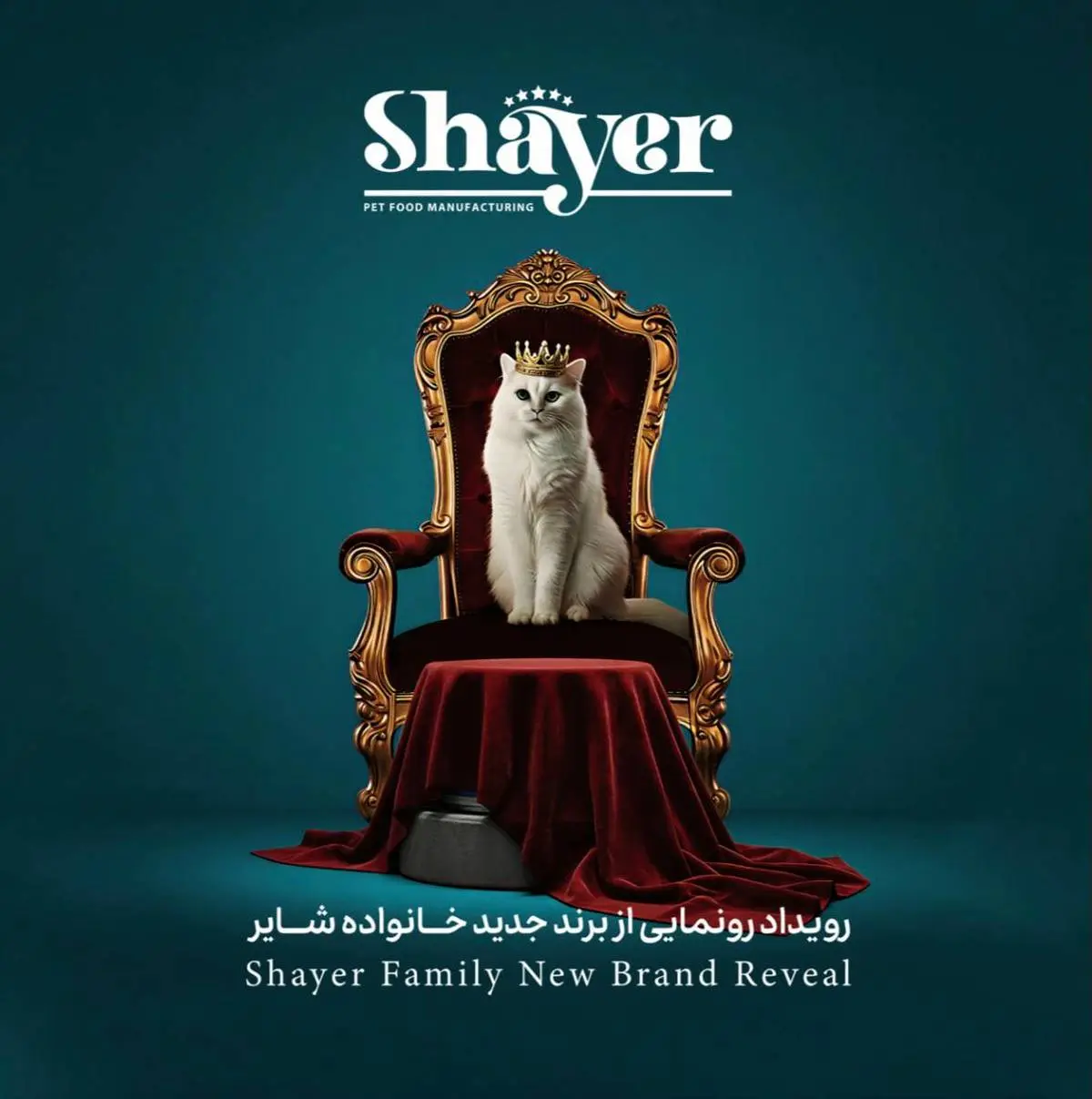 با حضور مدیرعامل برند شایر صورت گرفت؛
رونمایی از برند و ۱۶ محصول جدید خانواده شایر