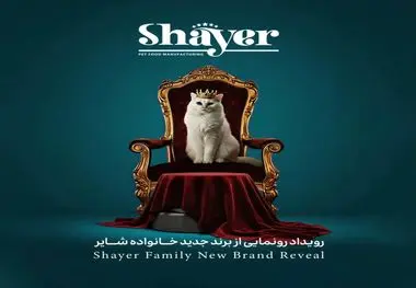 با حضور مدیرعامل برند شایر صورت گرفت؛
رونمایی از برند و ۱۶ محصول جدید خانواده شایر