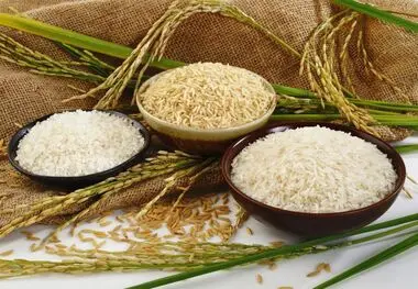 قیمت برخی از ارقام برنج در بازار