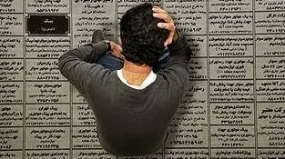 مدرک هست؛ شغل نیست