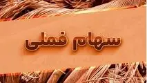 فملی؛ لیدر حیات بازار سرمایه