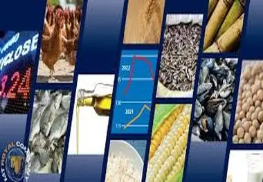 ذخایر مواد اولیه تولید کافی است؛ واردات ادامه دارد