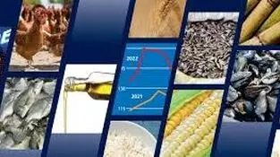 ذخایر مواد اولیه تولید کافی است؛ واردات ادامه دارد