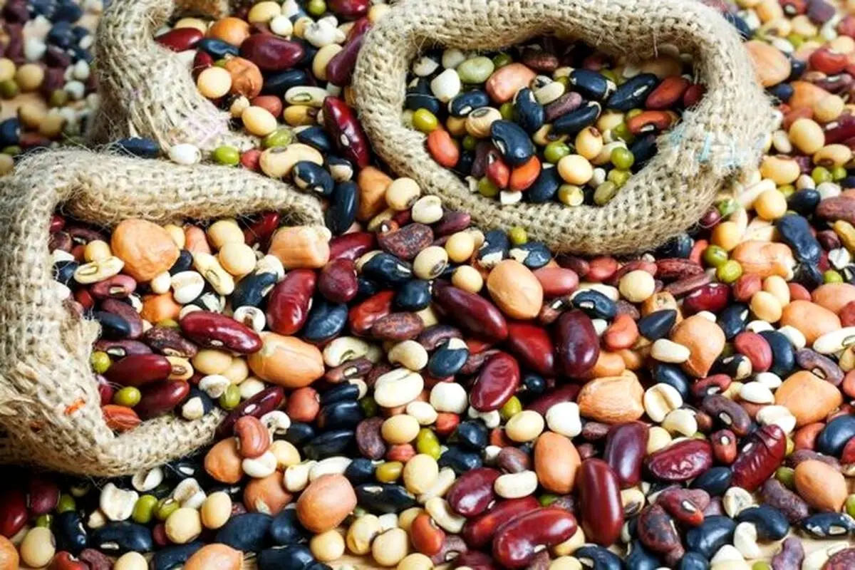 لیست محصولات ممنوعه برای صادرات اعلام شد
